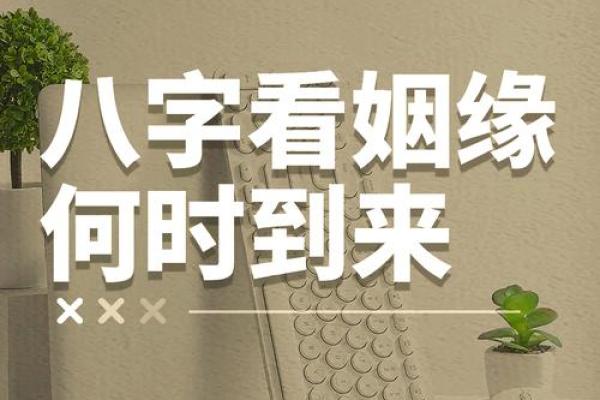 免费算婚姻姻缘 免费算婚姻姻缘免费测试？