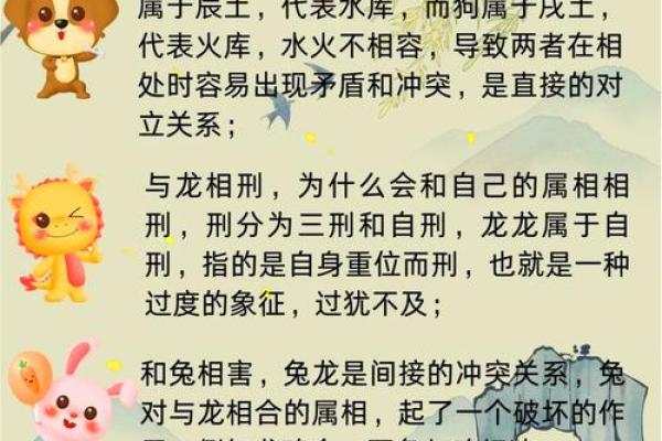 属龙和属狗适合做夫妻吗 配对有什么缺点