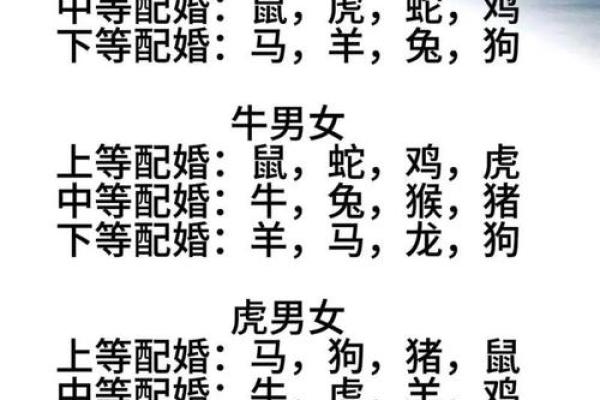 龙和老鼠属相合不合 龙和老鼠配对如何