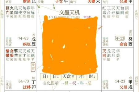 紫薇斗数旺庙