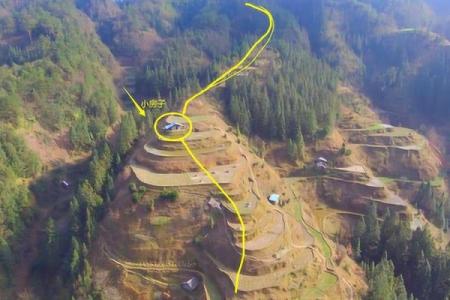 农村房子长草风水好吗