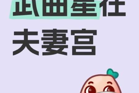 紫微斗数之夫妻宫与诸星,武曲星在夫妻宫是什么意思？