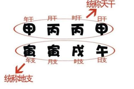 八字年干