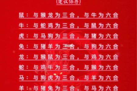 1994年属什么生肖配对最好