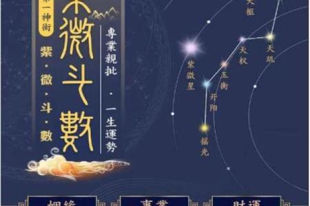 紫薇斗数阴阳相背