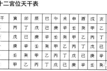 紫薇斗数排第几