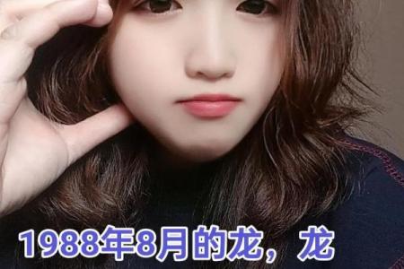 农历1988年月龙算命