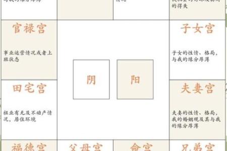 紫微斗数之迁移宫与诸星，太阴星在迁移宫是什么意思？
