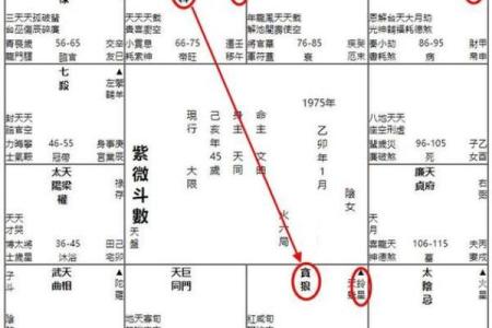 紫微斗数之迁移宫与诸星，廉贞星在迁移宫是什么意思？