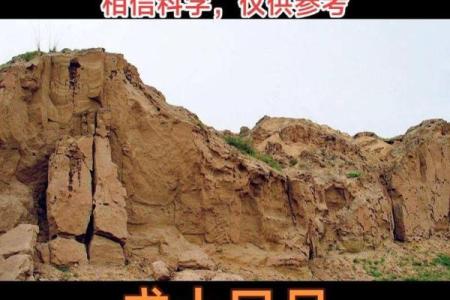 八字巳月