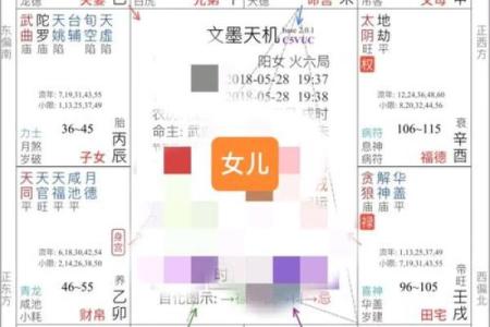 紫微斗数之子女宫与诸星，破军星在子女宫是什么意思？