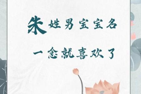 朱姓名字男女配对 朱姓配什么字取名有意义？