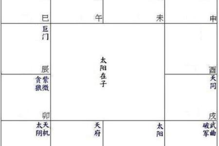 紫薇斗数大限天同巨门