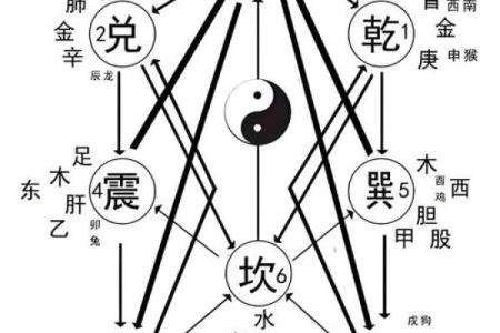 风水学中的三纲五常指的是什么
