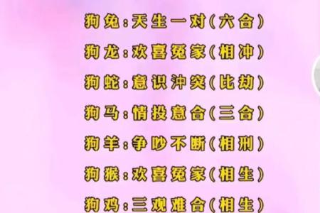 属龙和属狗适合做夫妻吗 配对有什么缺点
