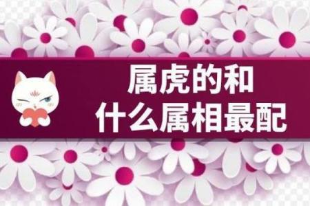 属虎和什么属相最配对 属虎和什么属相相冲