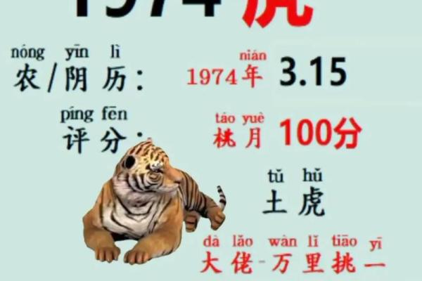 微信群里的算命能信吗