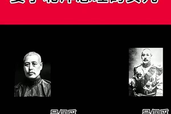 紫薇斗数吴佩孚