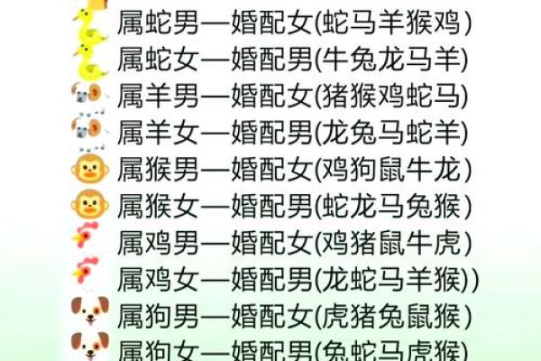 男属鸡的和什么属相最配 男性属鸡的最佳配对是哪个属相