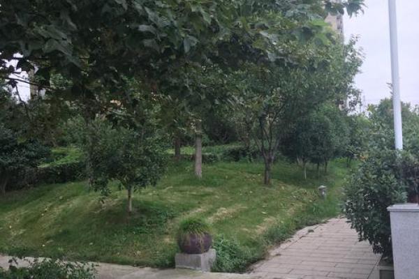 东方湾邸风水好吗