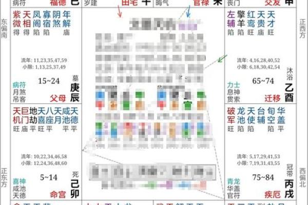 紫云紫薇斗数视频