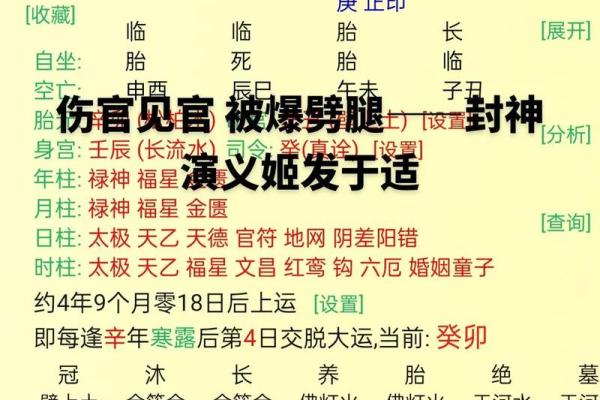 八字txt