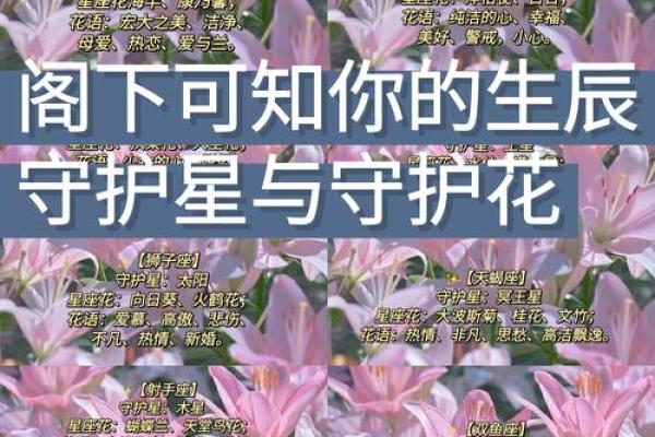 十二星座代表的守护花都有哪些呢