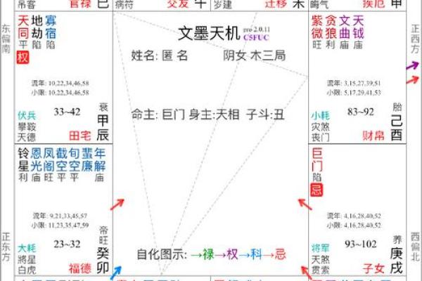 军师府紫薇斗数高级