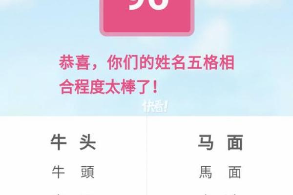 姓名配对查询软件下载 姓名配对专业版？