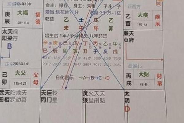 紫微斗数排盘疾厄宫自化忌是什么意思？