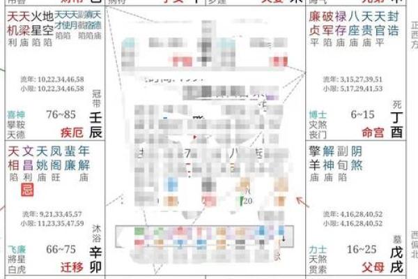 紫微斗数排盘疾厄宫自化忌是什么意思？