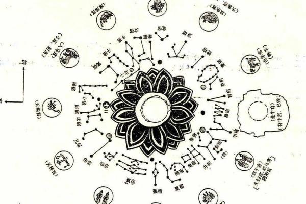 紫薇斗数星辰排序