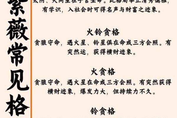 紫薇斗数紫府朝斗