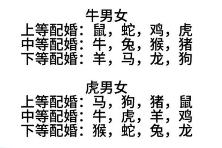 91年属什么生肖配对