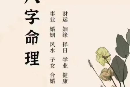 算命国学经典