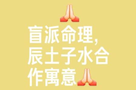 八字申酉辰
