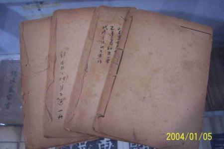 老鼠紫微斗数全书共几卷 老鼠 紫菀？