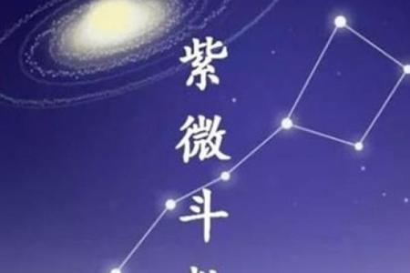 传媒公司紫薇斗数