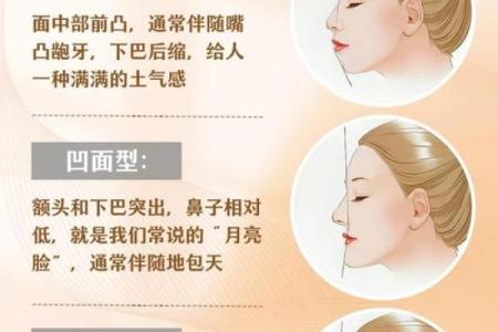 26种面型算命图解