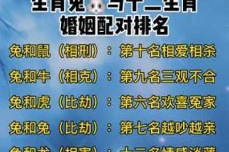 生肖兔和兔的配对是否适合