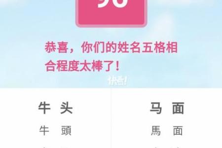 姓名配对查询软件下载 姓名配对专业版？