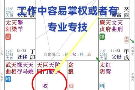 紫微斗数弱点 紫微斗数看哪些人善良？