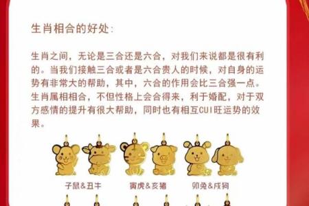 大家我算命网