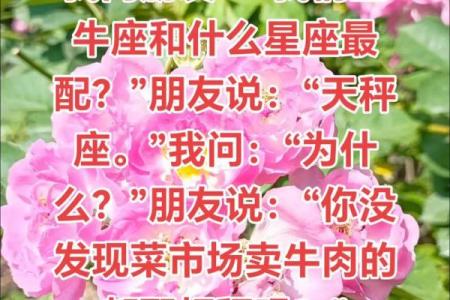 女生金牛座和什么座最配对 金牛座女和什么座最配对男