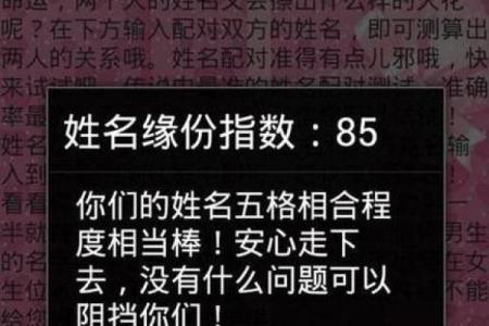 姓名配对姻缘911