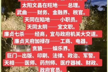 紫薇斗数武职