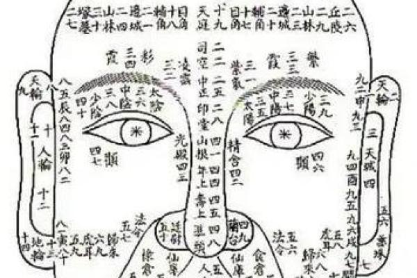 周易算命看面相