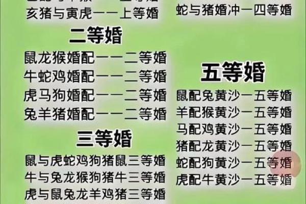 99年属什么今年多大 生肖配对