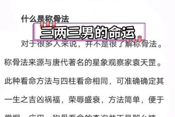 解析称骨算命3两2命