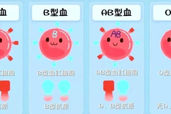 关于血型的婚姻综合症